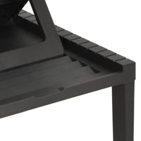 Thumbnail for Sonnenliege Kunststoff Anthrazit