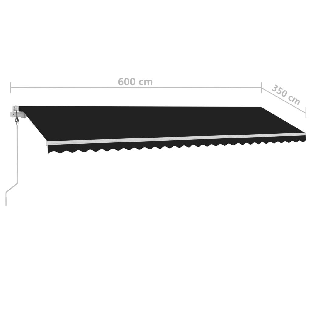Automatische Markise mit LED & Windsensor 600x350 cm Anthrazit