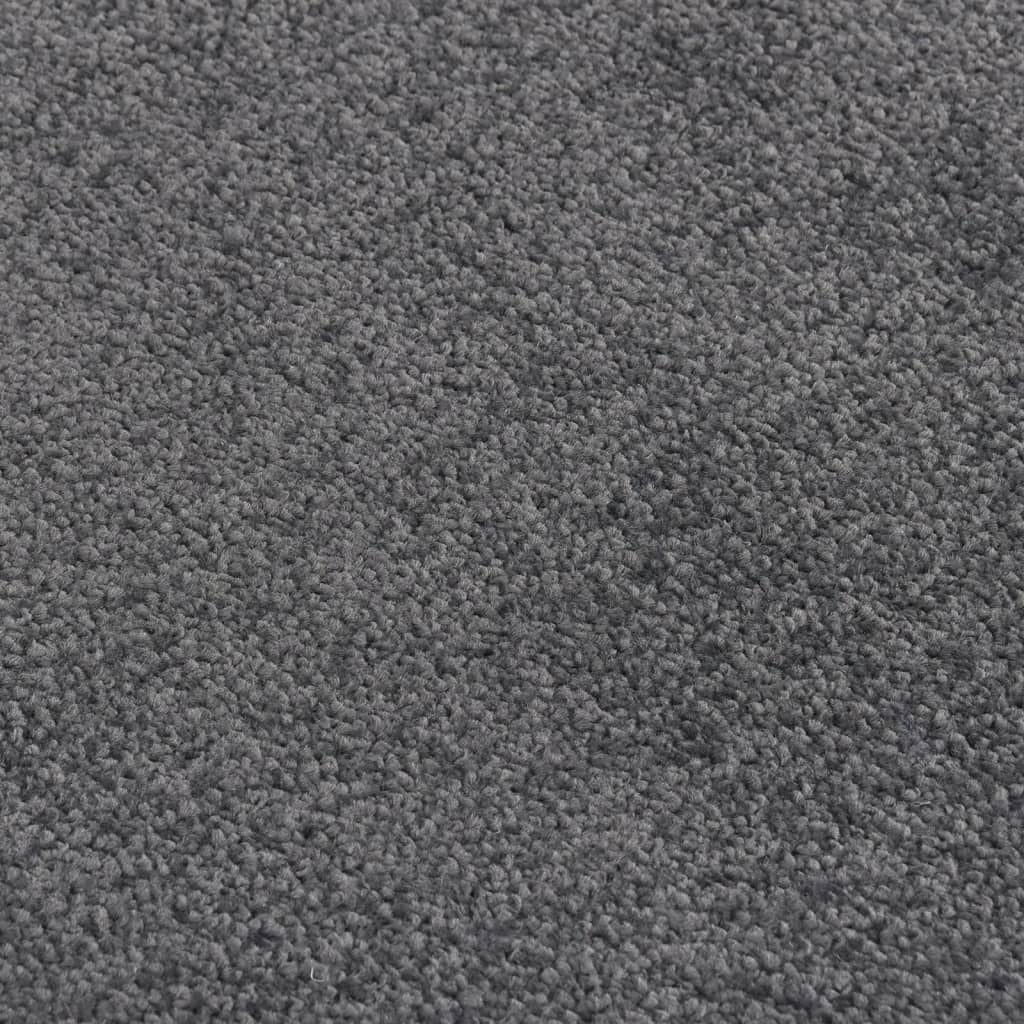 Fußmatte 80x120 cm Anthrazit
