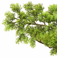 Thumbnail for Künstlicher Bonsai Zypresse mit Topf 60 cm Grün