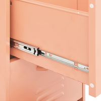 Thumbnail for Lagerschrank Rosa 42,5x35x101,5 cm Stahl