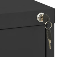 Thumbnail for Aktenschrank Anthrazit 46x62x133 cm Stahl