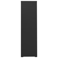 Thumbnail for Aktenschrank Anthrazit 90x46x164 cm Stahl