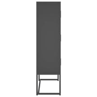 Thumbnail for Highboard Anthrazit 80x35x135 cm Stahl