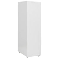 Thumbnail for Aktenschrank mit Rollen Grau 28x41x109 cm Metall
