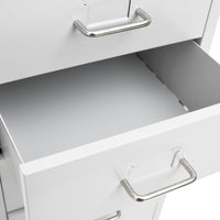 Thumbnail for Aktenschrank mit Rollen Grau 28x41x109 cm Metall