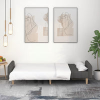 Thumbnail for Schlafsofa 2-Sitzer Dunkelgrau Stoff