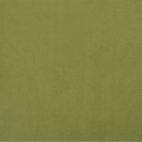 Thumbnail for Schlafsofa 2-Sitzer mit 2 Kissen Hellgrün Samt