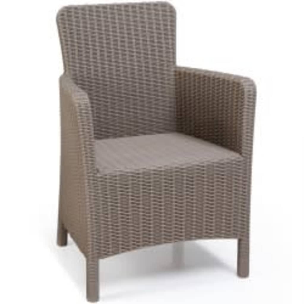 Allibert 2 Stk. Garten-Esszimmerstühle Trenton Cappuccino 226454