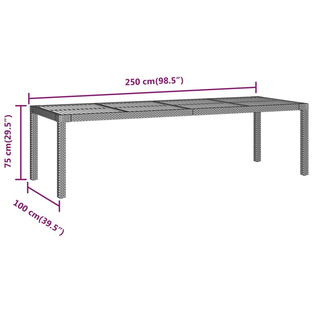 Gartentisch Schwarz 250x100x75 cm Poly Rattan