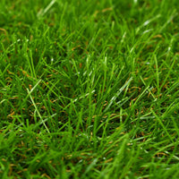 Thumbnail for Kunstrasen 1x8 m/40 mm Grün