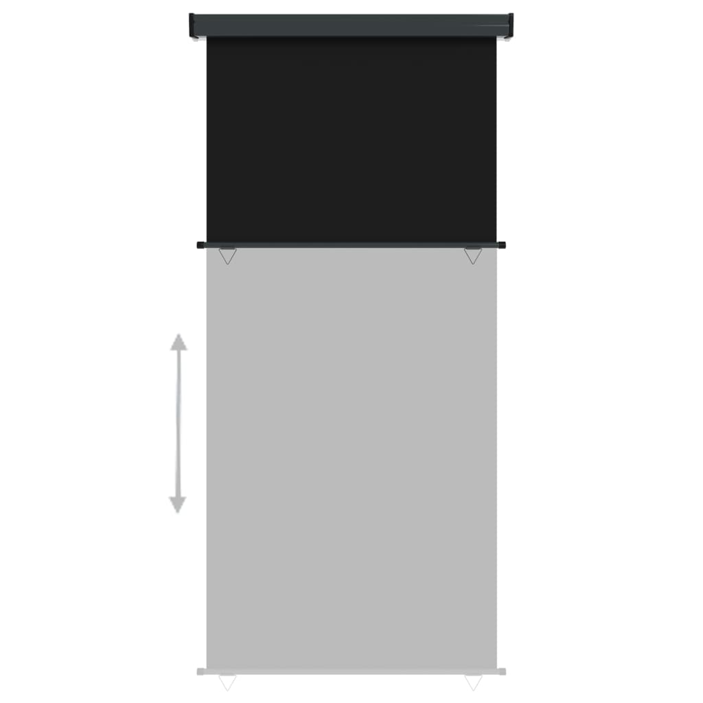 Balkon-Seitenmarkise 117x250 cm Schwarz