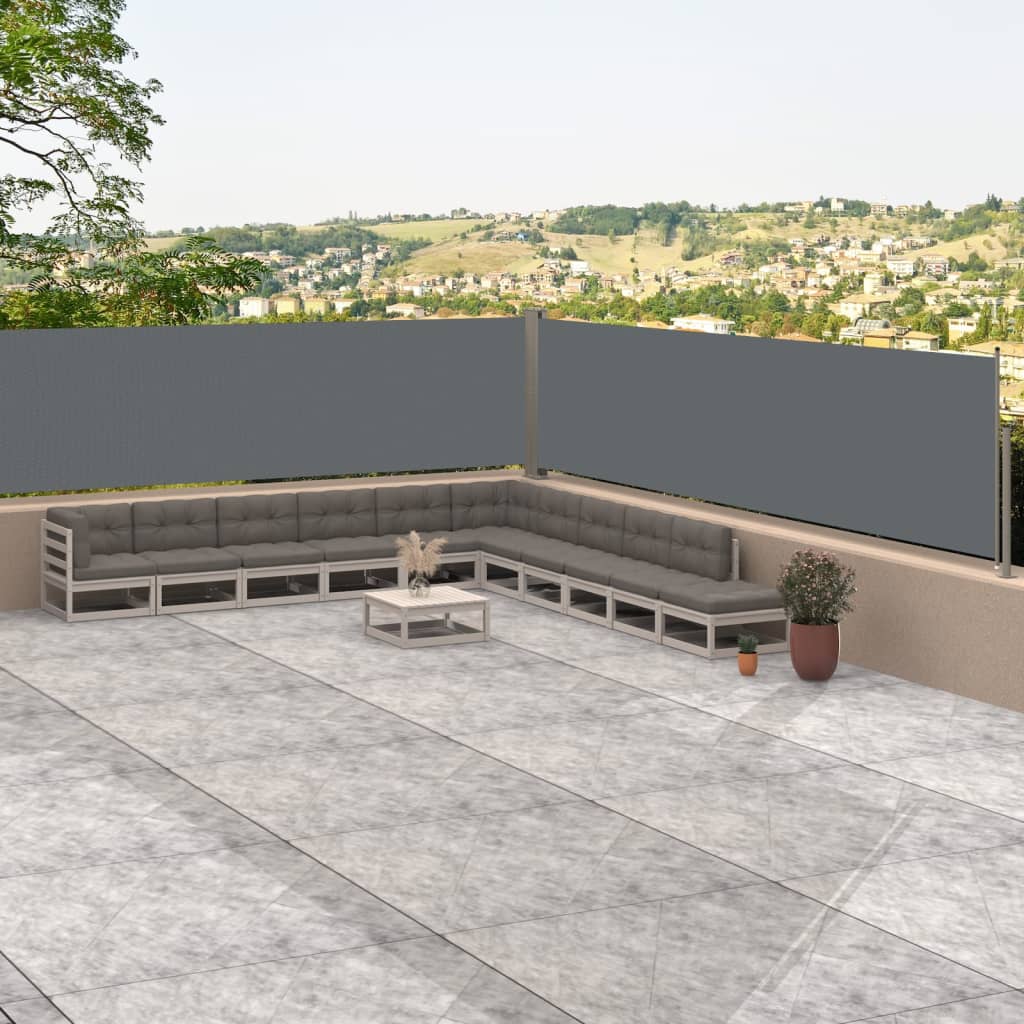 Seitenmarkise Ausziehbar Anthrazit 117x1000 cm