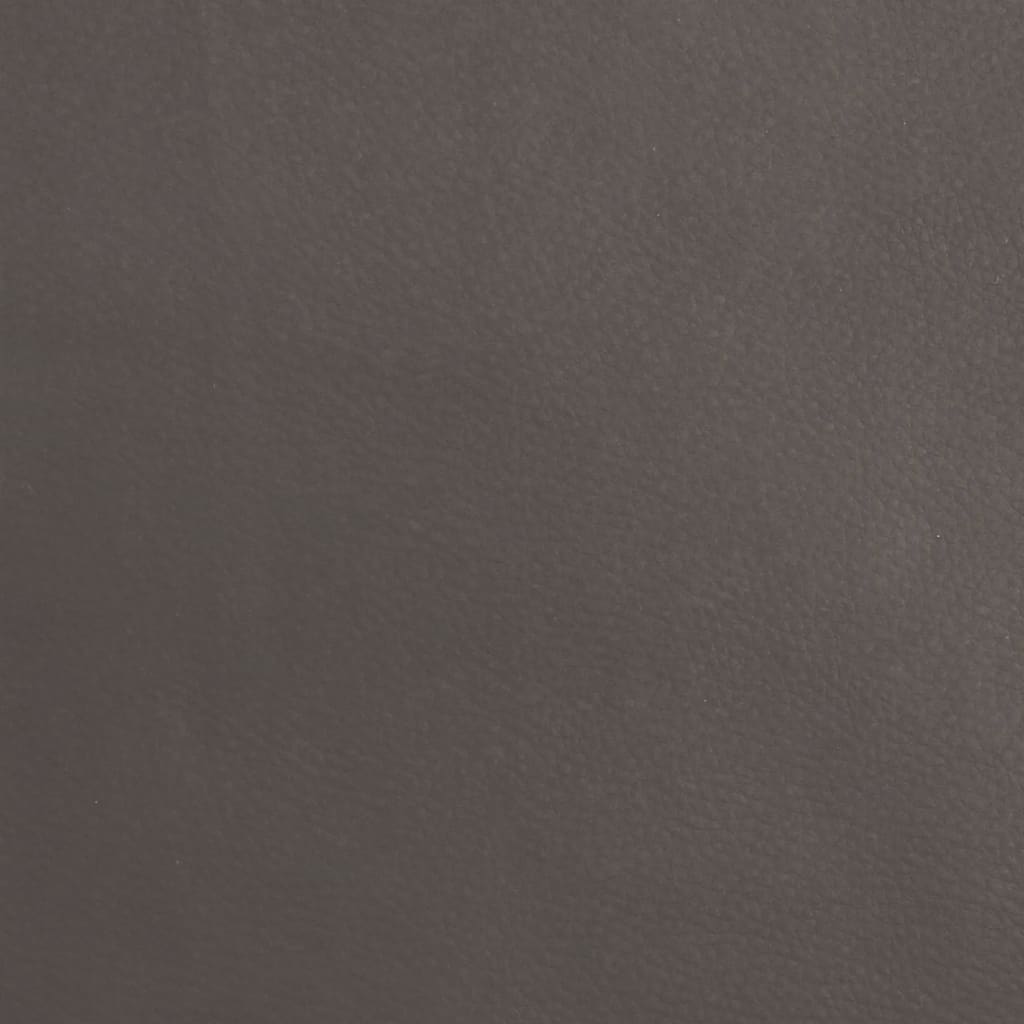 Aufstehsessel Grau Echtleder