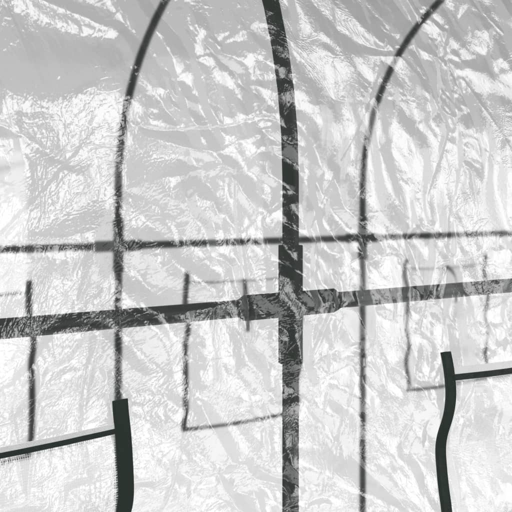 Gewächshaus Transparent 161x398x188 cm PVC & Stahl