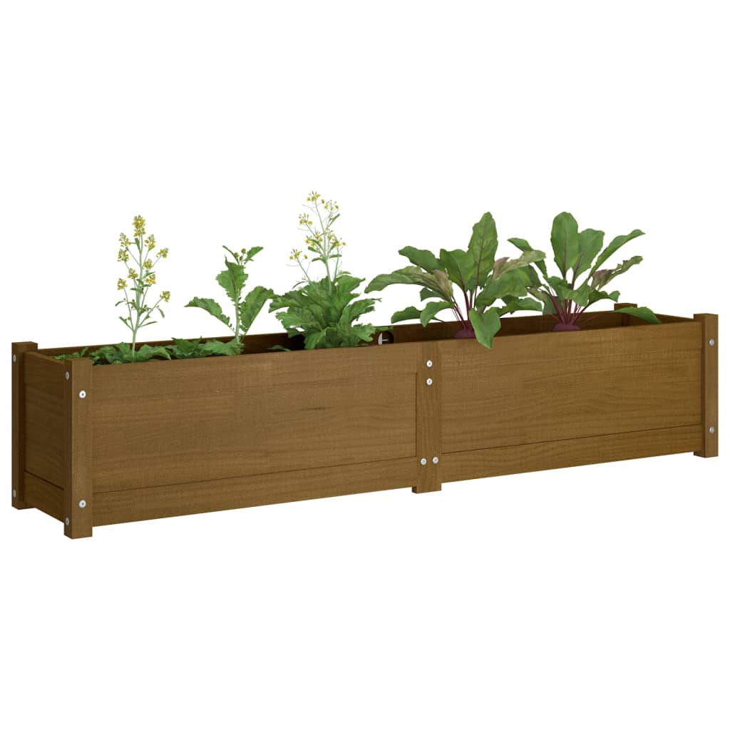 Garten-Hochbeet Honigbraun 150x31x31 cm Massivholz Kiefer