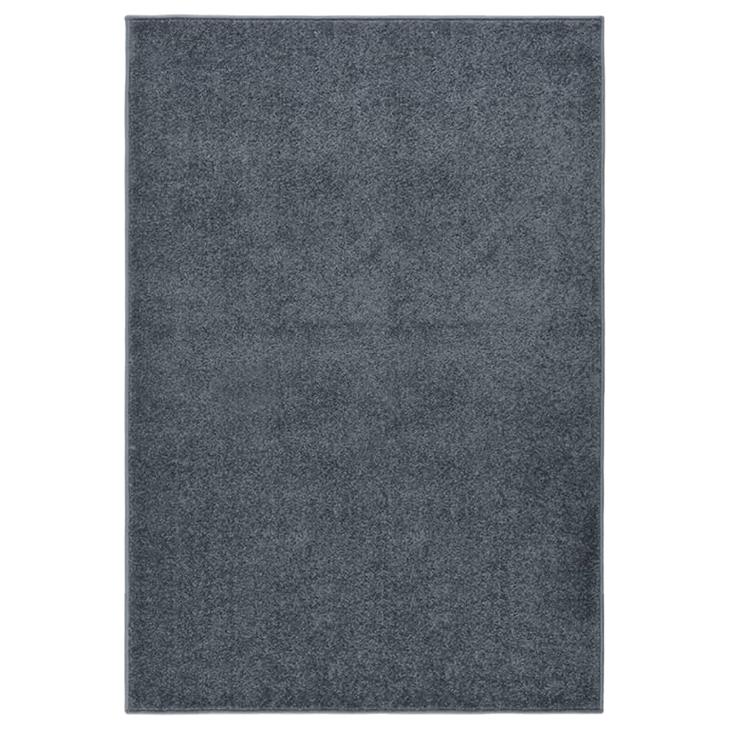 Teppich Kurzflor 200x290 cm Anthrazit