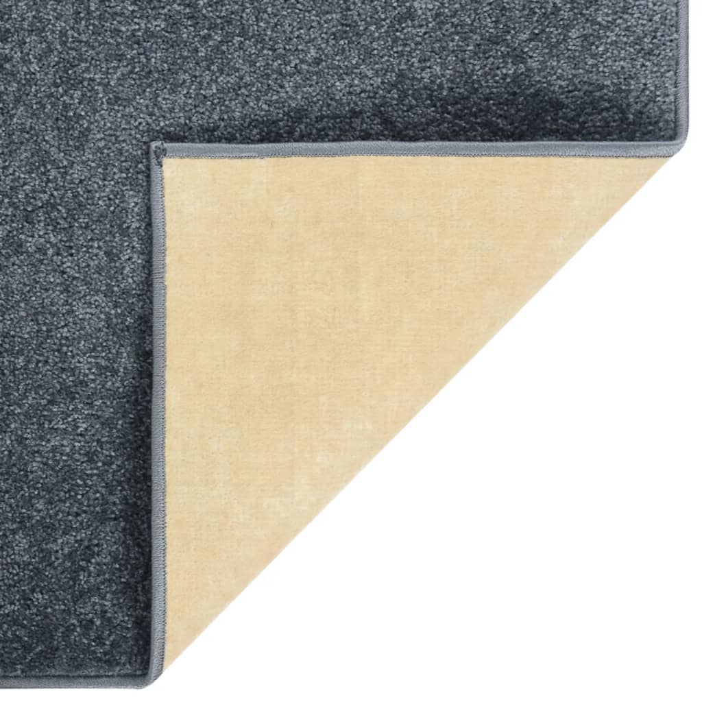 Teppich Kurzflor 240x340 cm Anthrazit