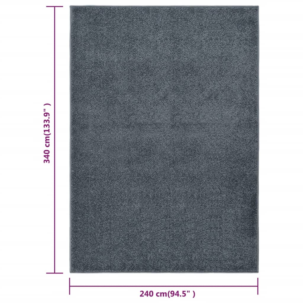 Teppich Kurzflor 240x340 cm Anthrazit