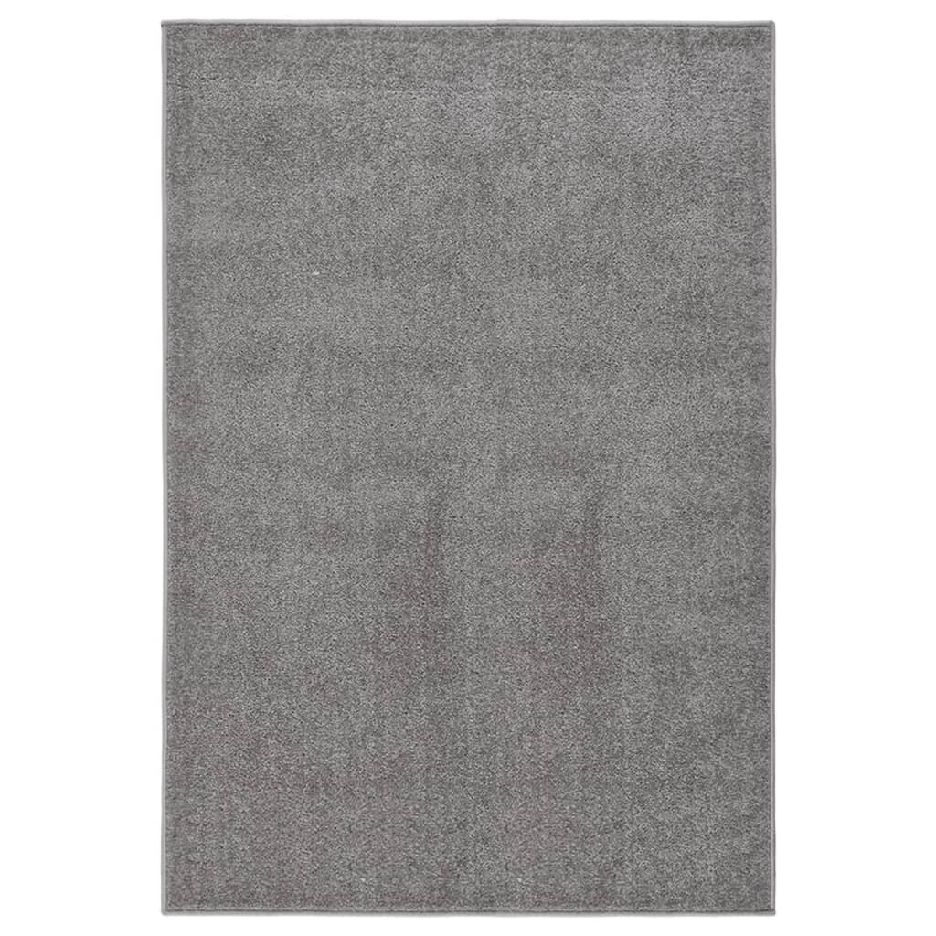 Teppich Kurzflor 200x290 cm Grau
