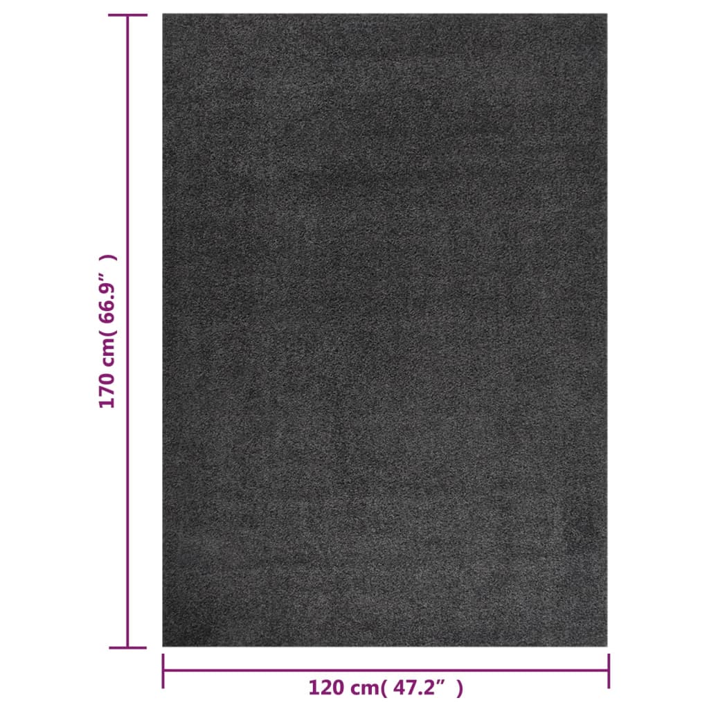 Teppich Shaggy Hochflor Anthrazit 120x170 cm