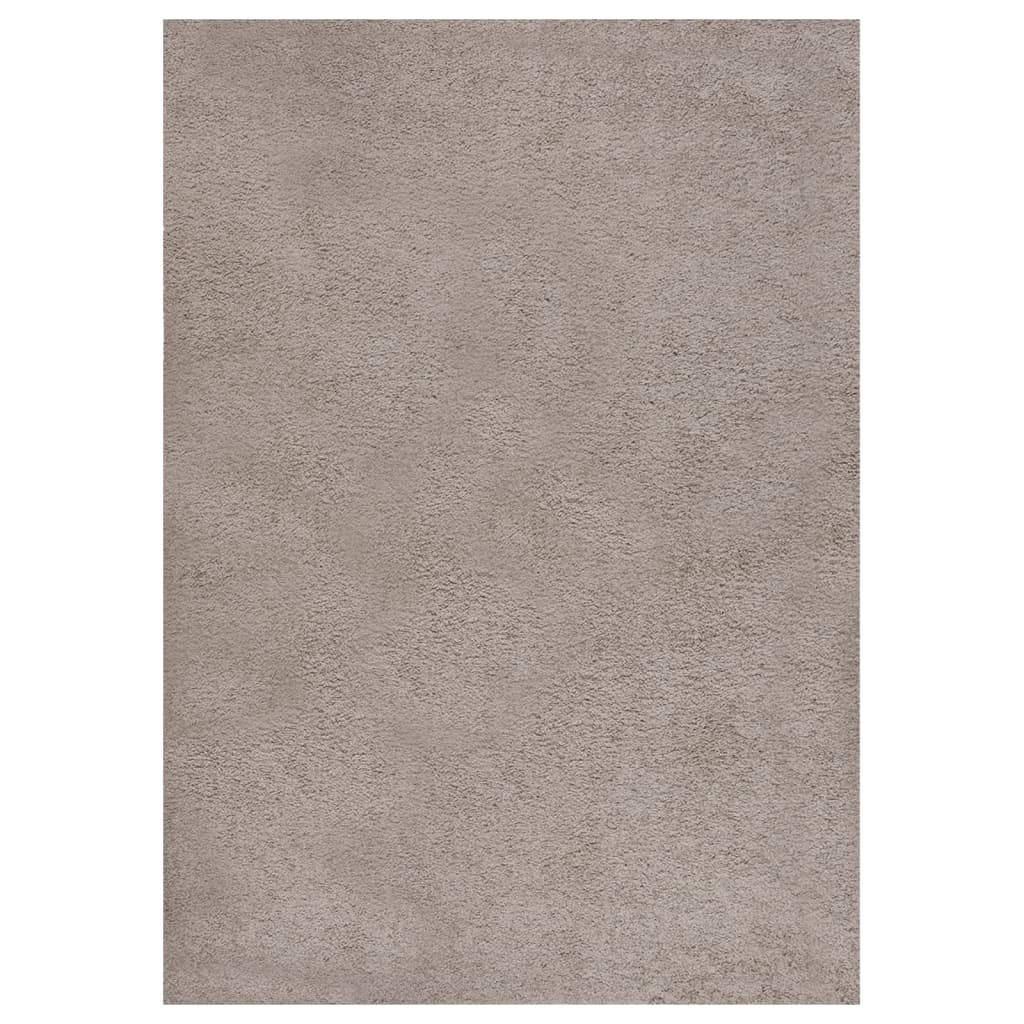 Teppich Shaggy Hochflor Beige 120x170 cm