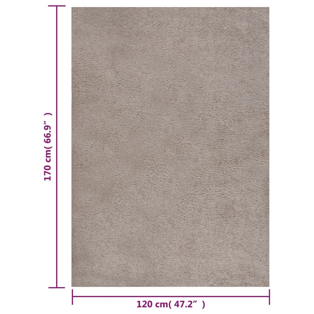 Teppich Shaggy Hochflor Beige 120x170 cm