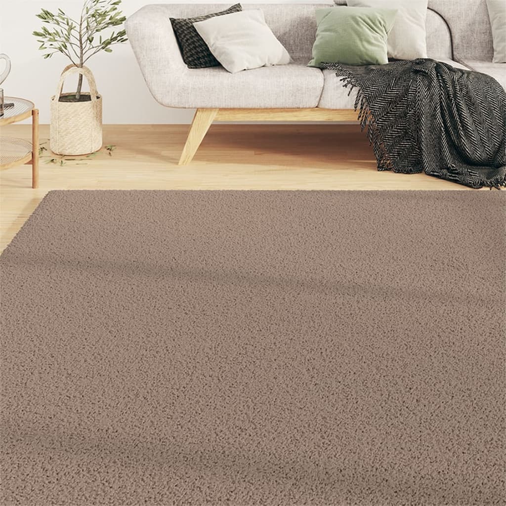 Teppich Shaggy Hochflor Beige 140x200 cm