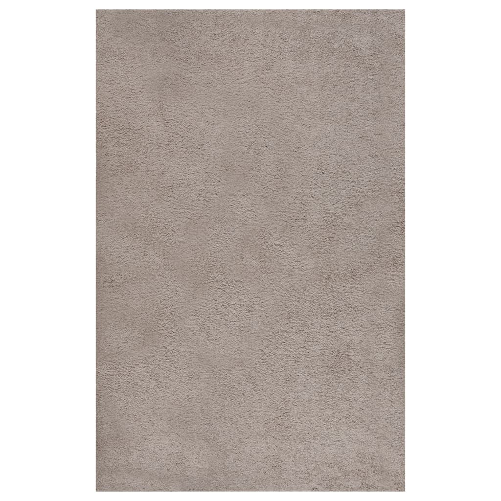 Teppich Shaggy Hochflor Beige 200x290 cm