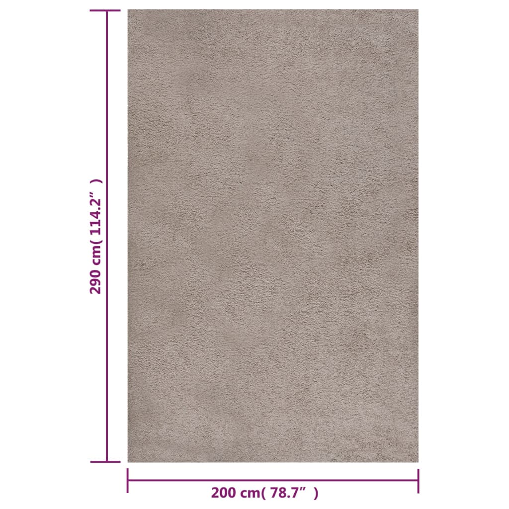 Teppich Shaggy Hochflor Beige 200x290 cm