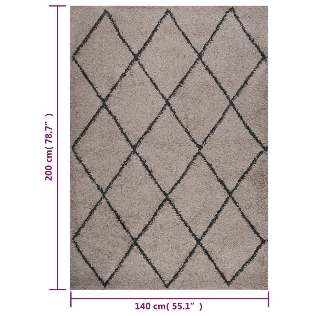 Teppich Shaggy Hochflor Beige und Anthrazit 140x200 cm
