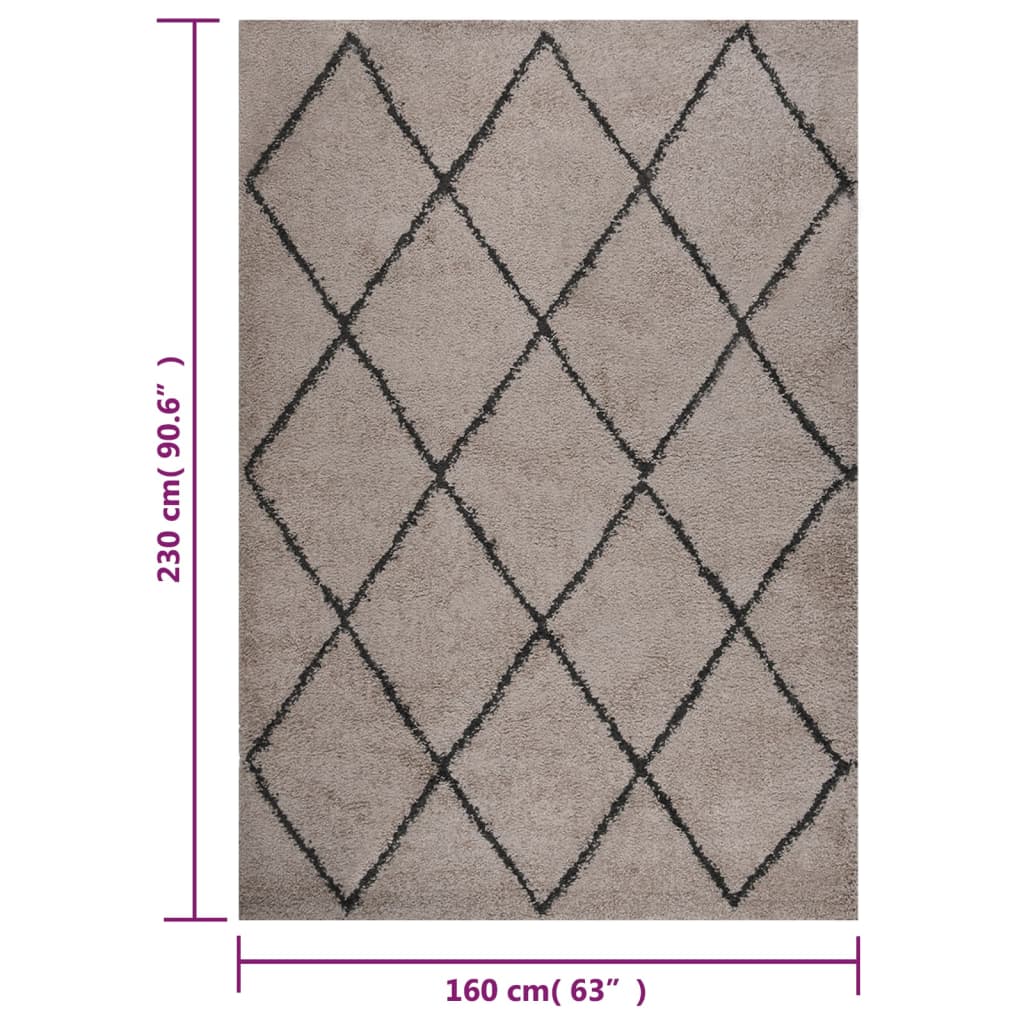 Teppich Shaggy Hochflor Beige und Anthrazit 160x230 cm