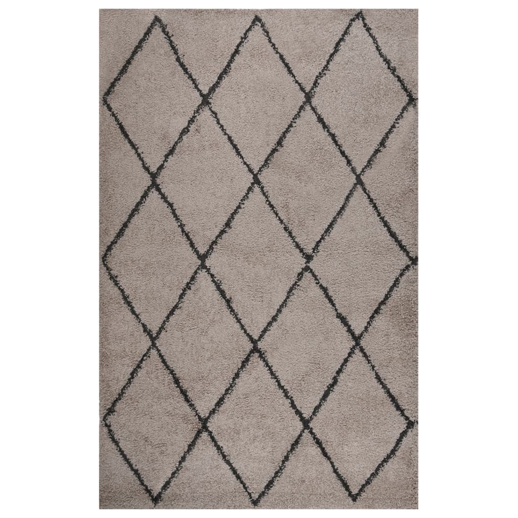 Teppich Shaggy Hochflor Beige und Anthrazit 200x290 cm