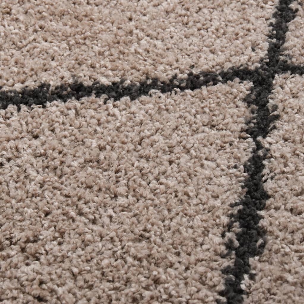 Teppich Shaggy Hochflor Beige und Anthrazit 200x290 cm