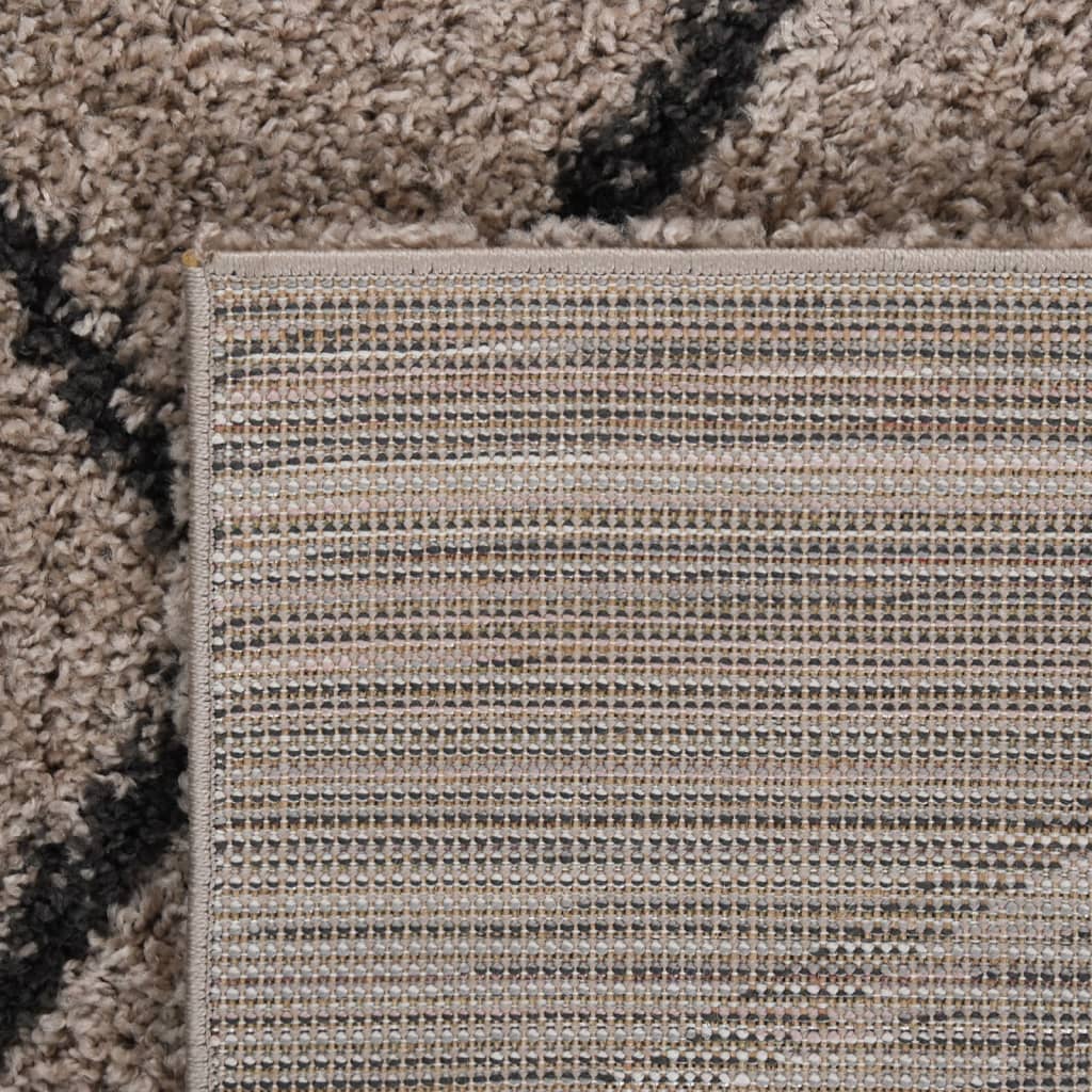 Teppich Shaggy Hochflor Beige und Anthrazit 200x290 cm