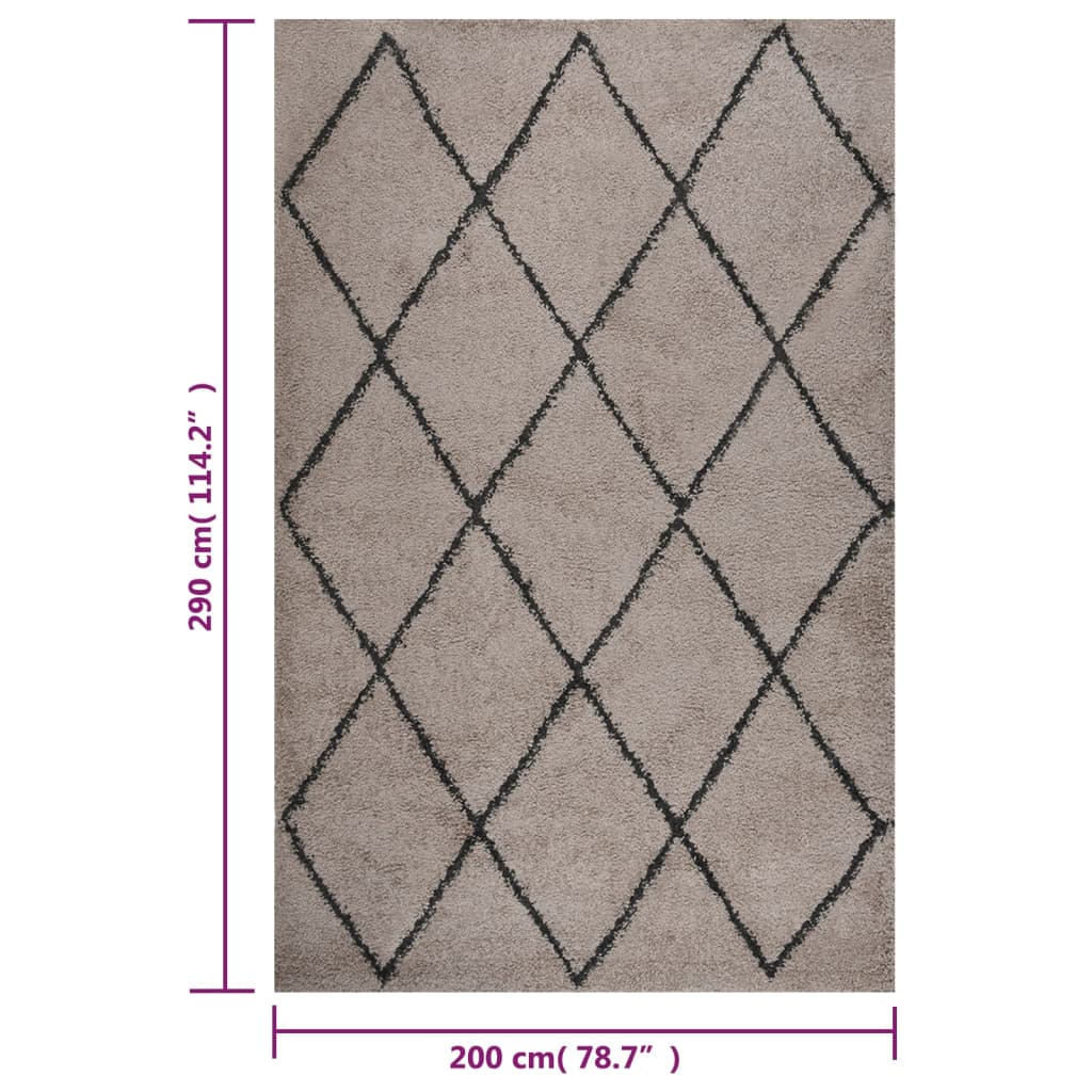 Teppich Shaggy Hochflor Beige und Anthrazit 200x290 cm
