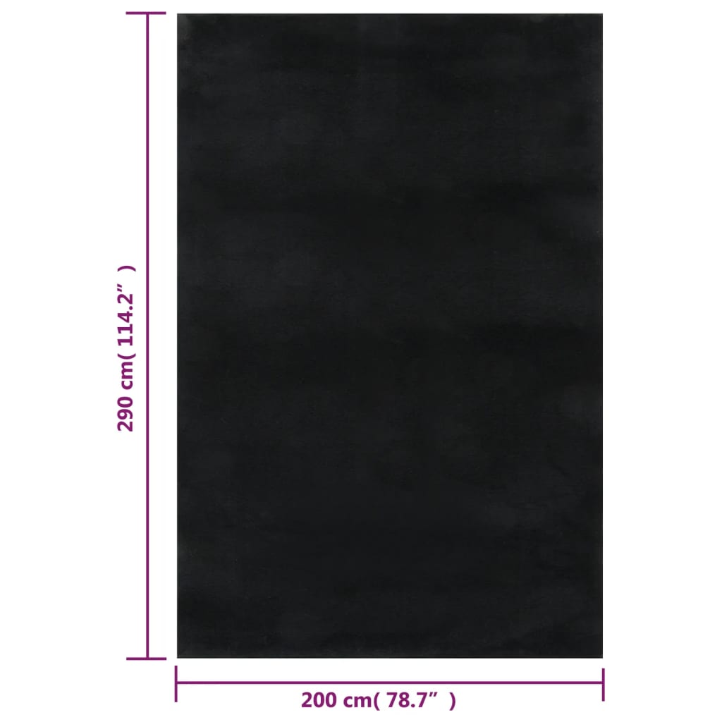 Teppich Waschbar Flauschig Kurzflor 200x290 Rutschfest Schwarz