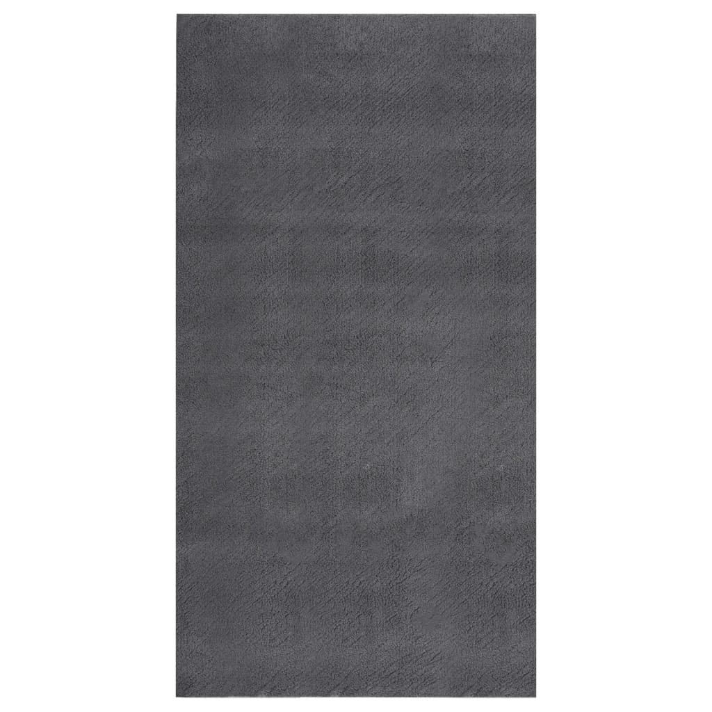 Teppich Waschbar Flauschig Kurzflor 80x150 Rutschfest Anthrazit