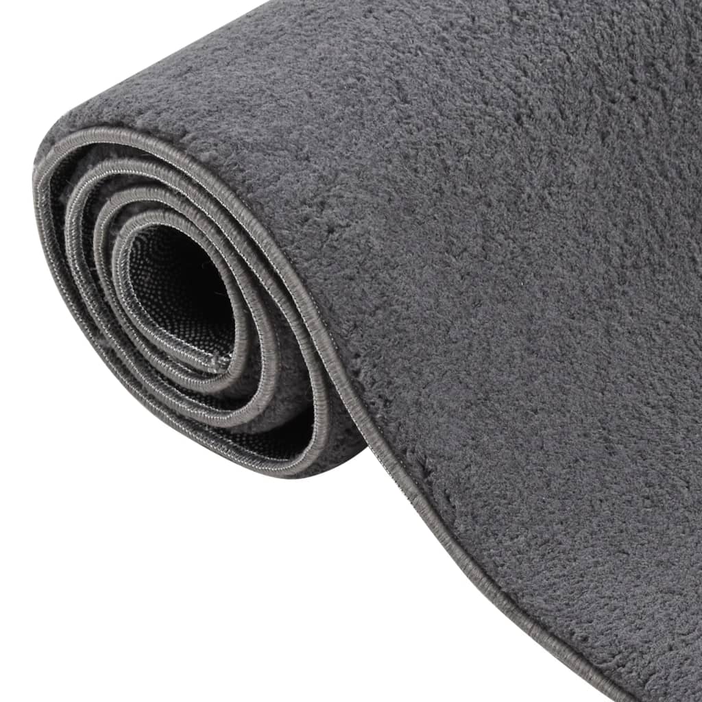 Teppich Waschbar Flauschig Kurzflor 80x150 Rutschfest Anthrazit