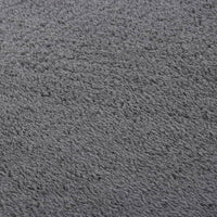 Thumbnail for Teppich Waschbar Flauschig Kurzflor 80x150 Rutschfest Anthrazit