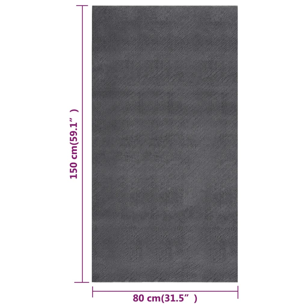 Teppich Waschbar Flauschig Kurzflor 80x150 Rutschfest Anthrazit