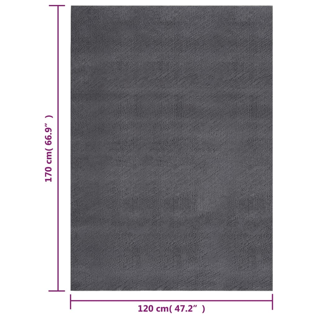 Teppich Shaggy Waschbar Weich 120x170 cm Rutschfest Anthrazit