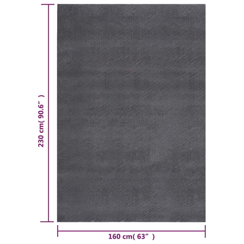 Teppich Shaggy Waschbar Weich 160x230 cm Rutschfest Anthrazit