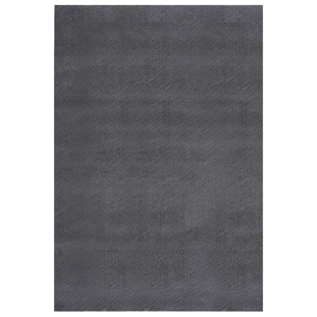 Teppich Waschbar Flauschig Kurzflor 200x290 Rutschfest Anthrazi