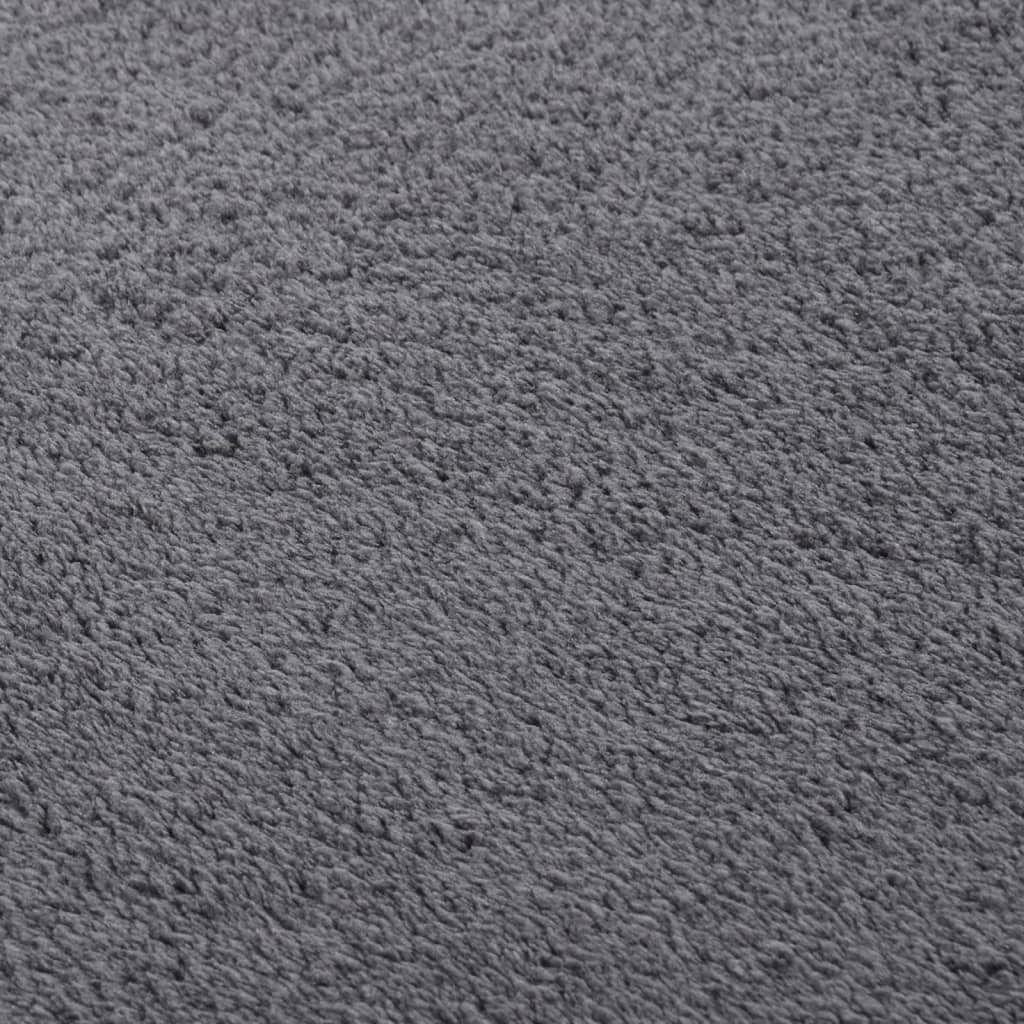 Teppich Waschbar Flauschig Kurzflor 200x290 Rutschfest Anthrazi