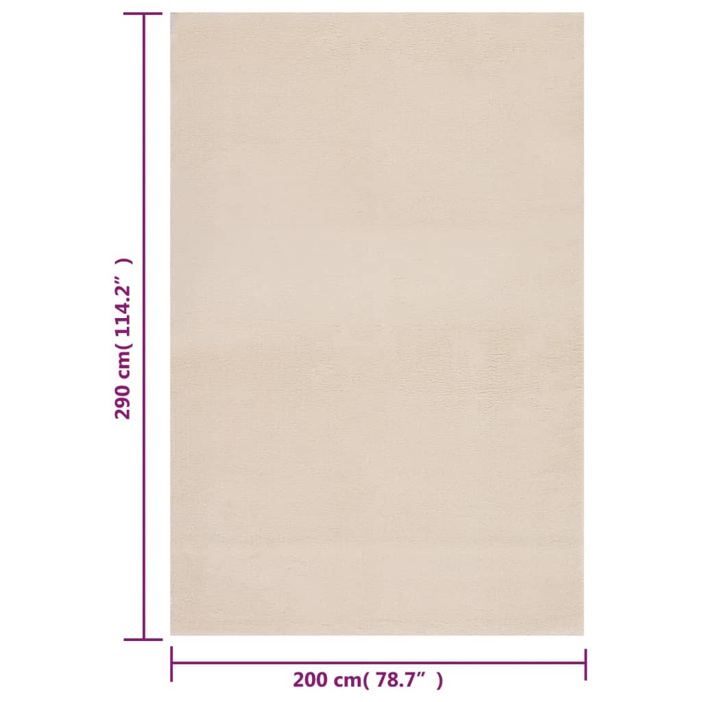 Teppich Waschbar Flauschig Kurzflor 200x290 Rutschfest Beige
