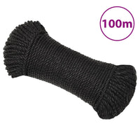 Thumbnail for Arbeitsseil Schwarz 8 mm 100 m Polypropylen