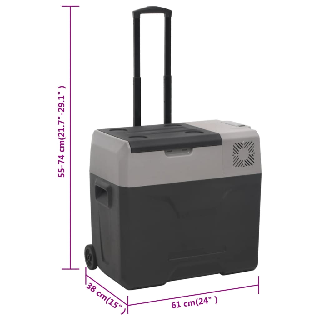 Kühlbox mit Rollen und Griff Schwarz & Grau 50 L Polypropylen