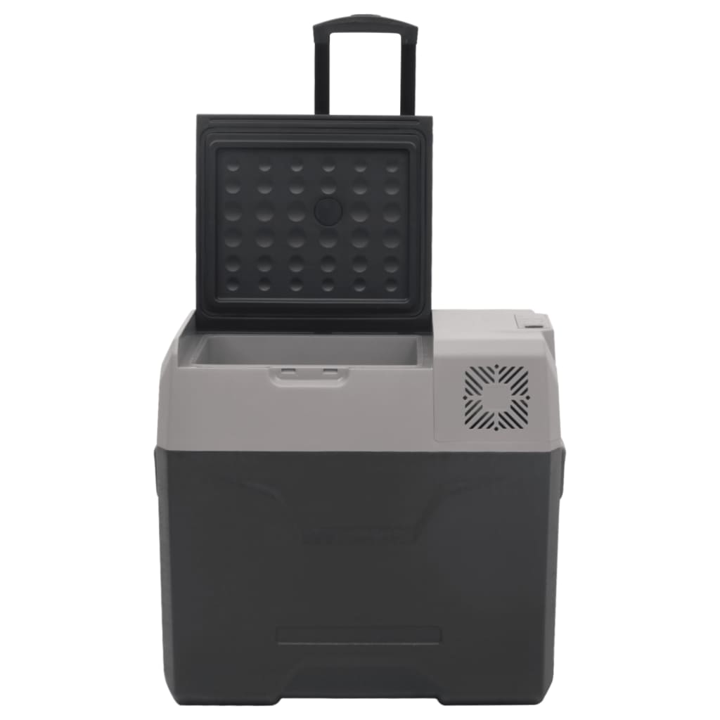 Kühlbox mit Rollen und Adapter Schwarz & Grau 40 L Polypropylen