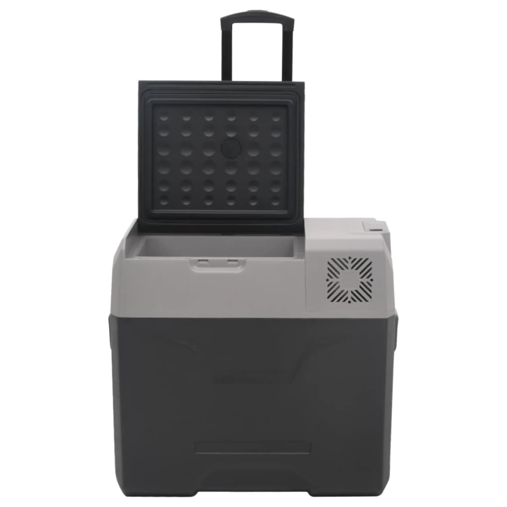 Kühlbox mit Rollen und Adapter Schwarz & Grau 50 L Polypropylen